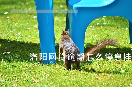 洛阳网贷逾期怎么停息挂账 洛阳网贷逾期怎么停息挂账