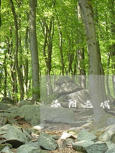 洛阳老城区债权债务律师咨询