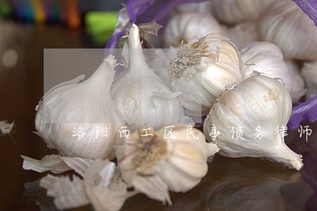 洛阳西工区民事债务律师电话