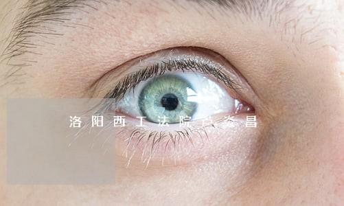 洛阳西工法院芦炎昌 洛阳西工法院芦炎昌