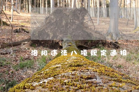 洛阳违法八项规定通报 洛阳违法八项规定通报