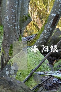 洛阳银行卡逾期两年能买车吗 洛阳银行卡逾期两年能买车吗