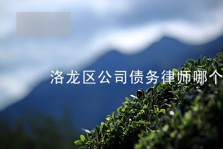 洛龙区公司债务律师哪个好 洛龙区公司债务律师哪个好