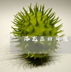 洛龙区公司债务律师找谁好 洛龙区公司债务律师找谁好