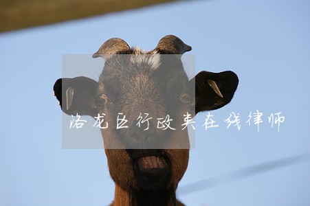 洛龙区行政类在线律师 洛龙区行政类在线律师