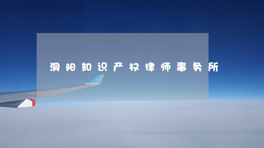 洞阳知识产权律师事务所