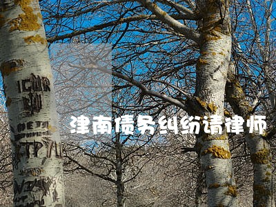 津南债务纠纷请律师 津南债务纠纷请律师