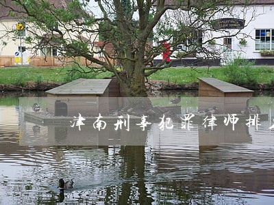 津南刑事犯罪律师排名 津南刑事犯罪律师排名