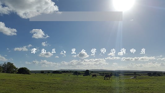 津南区八里台律师咨询哪有 津南区八里台律师咨询哪有