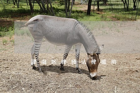 津南区律师法律援助 津南区律师法律援助
