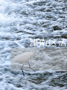 津南区法律援助工作时间 津南区法律援助工作时间