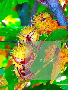 津南区行业交流法律咨询 津南区行业交流法律咨询