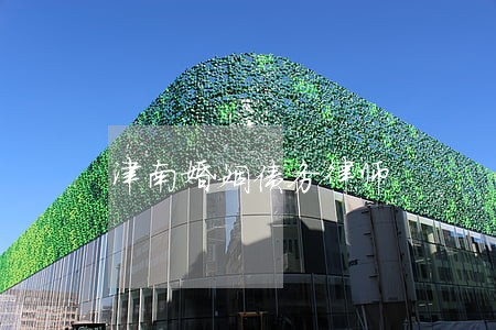 津南婚姻债务律师 津南婚姻债务律师