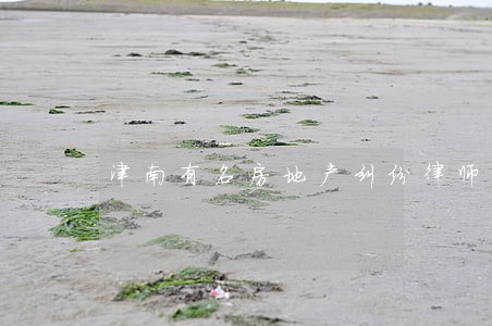 津南有名房地产纠纷律师 津南有名房地产纠纷律师