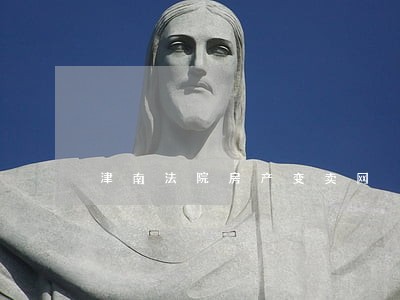 津南法院房产变卖网