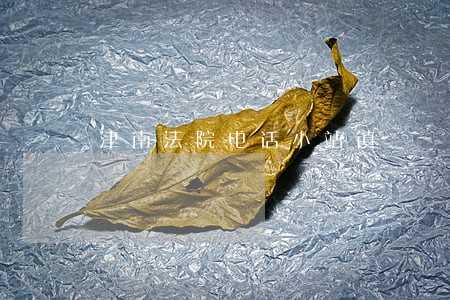 津南法院电话小站镇 津南法院电话小站镇
