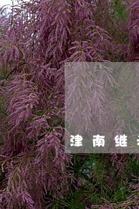 津南继承遗产案律师 津南继承遗产案律师