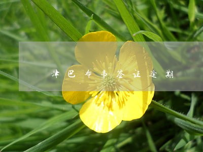 津巴布韦签证逾期 津巴布韦签证逾期
