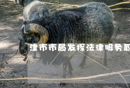 津市市局发挥法律服务职能 津市市局发挥法律服务职能