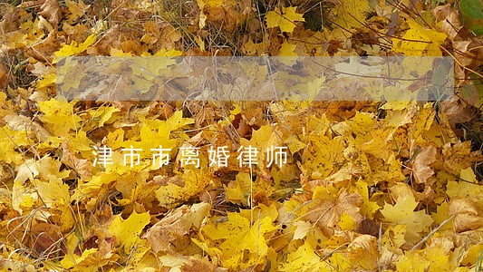 津市市离婚律师 津市市离婚律师