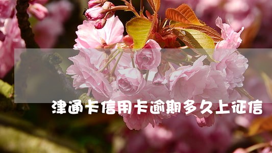 津通卡信用卡逾期多久上征信 津通卡信用卡逾期多久上征信