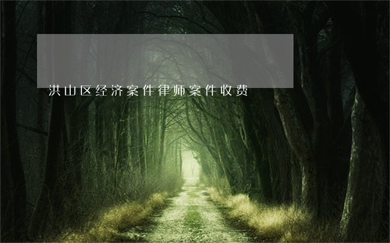 洪山区经济案件律师案件收费 洪山区经济案件律师案件收费