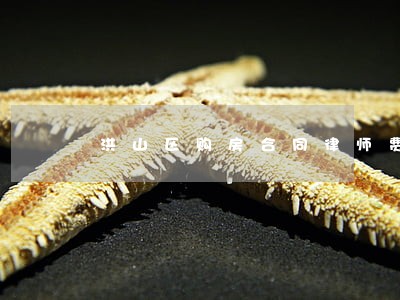 洪山区购房合同律师费用 洪山区购房合同律师费用