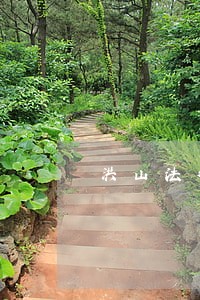 洪山法律顾问律师法律咨询 洪山法律顾问律师法律咨询