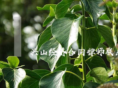 洪山经济合同律师联系方式 洪山经济合同律师联系方式