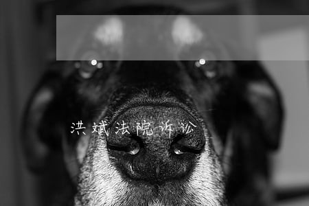 洪斌法院诉讼 洪斌法院诉讼