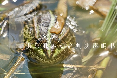 洪永胜不动产判决声明书
