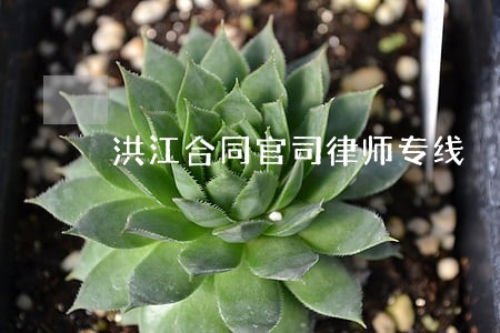 洪江合同官司律师专线 洪江合同官司律师专线