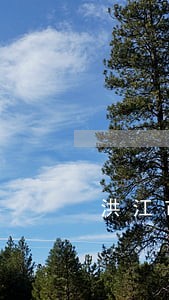 洪江市专业债务清欠律师 洪江市专业债务清欠律师