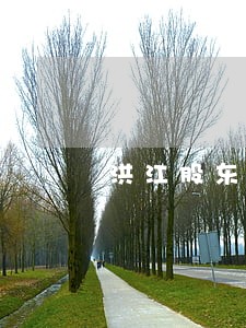 洪江股东权益律师 洪江股东权益律师