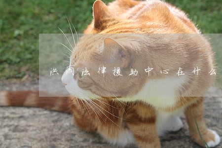 洪洞法律援助中心在什么地方 洪洞法律援助中心在什么地方