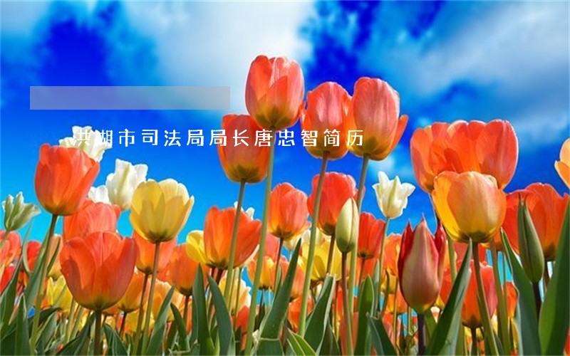 洪湖市司法局局长唐忠智简历 洪湖市司法局局长唐忠智简历