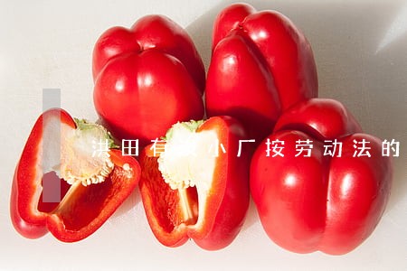 洪田有没小厂按劳动法的 洪田有没小厂按劳动法的