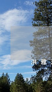 洪雅法院执行局奔赴云南 洪雅法院执行局奔赴云南