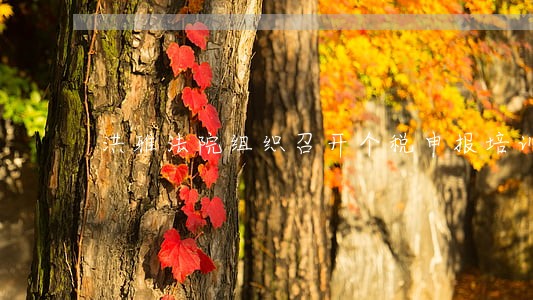 洪雅法院组织召开个税申报培训会 洪雅法院组织召开个税申报培训会