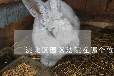 洮北区园区法院在哪个位置 洮北区园区法院在哪个位置