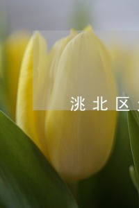 洮北区欠钱不还追讨律师 洮北区欠钱不还追讨律师