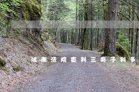 洮南法院宣判三亮子判多少年