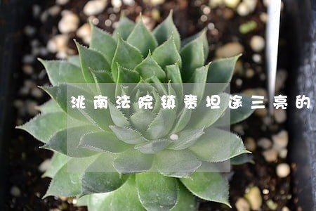 洮南法院镇赉坦途三亮的