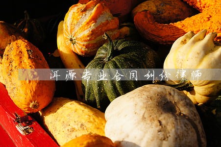 洱源专业合同纠纷律师 洱源专业合同纠纷律师