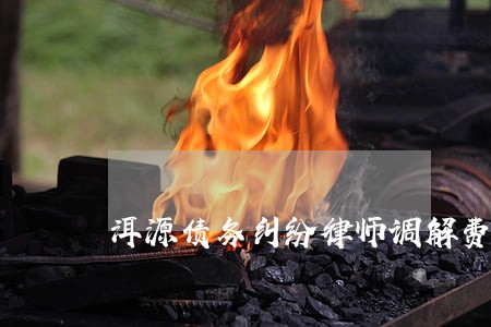 洱源债务纠纷律师调解费 洱源债务纠纷律师调解费