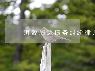 洱源周边债务纠纷律师 洱源周边债务纠纷律师