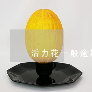 活力花一般逾期5天会上征信 活力花一般逾期5天会上征信