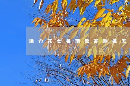 活力花七条借款逾期会怎样 活力花七条借款逾期会怎样