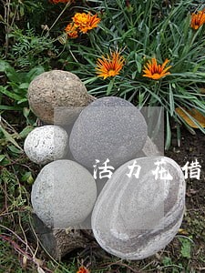 活力花借款逾期了 活力花借款逾期了