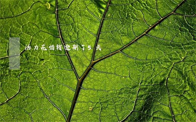 活力花借钱逾期了5天 活力花借钱逾期了5天